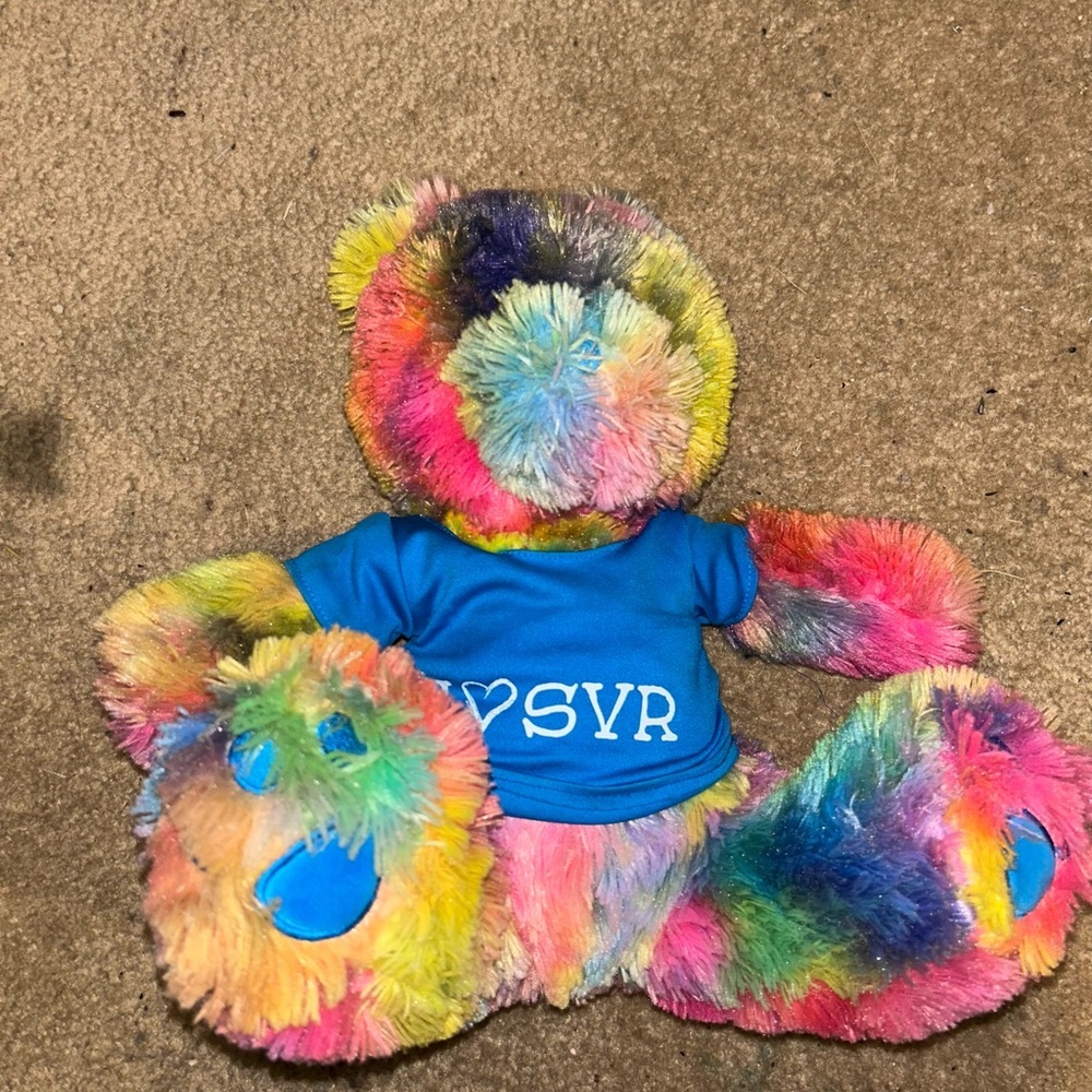 Colorful Plush Teddy Bear with Blue Shirt